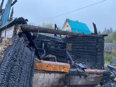 В Смоленской области мужчина сгорел в дачном домике