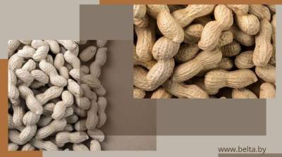 Польза арахиса: для кого полезен, а для кого вреден этот продукт?