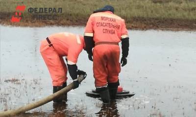 В порту Тамань произошел разлив мазута - fedpress.ru - Краснодарский край - Новороссийск - Тамань - Экология