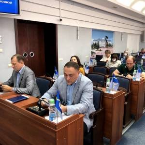 В Бердянске досрочно прекратили полномочия депутата, совершившего ДТП