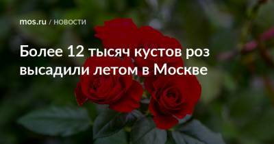 Более 12 тысяч кустов роз высадили летом в Москве