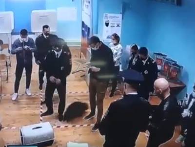 Видео: енот Том парализовал работу избирательного участка в Москве