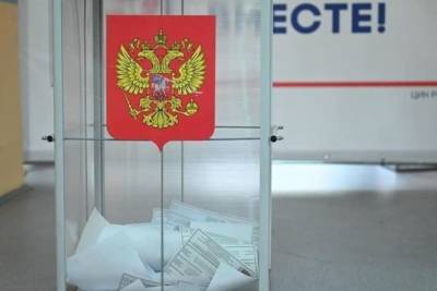 Депутат ЕП призвал Запад поучиться у России организации выборов