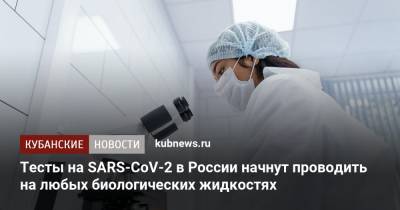 Тесты на SARS-CoV-2 в России начнут проводить на любых биологических жидкостях