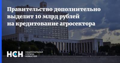 Правительство дополнительно выделит 10 млрд рублей на кредитование агросектора