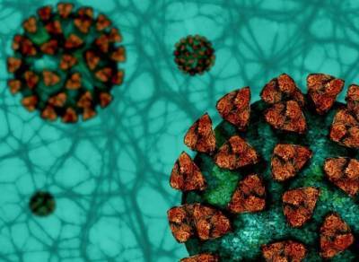 Медик Токарев предупредил о падении титра антител к коронавирусу в 10 раз без ревакцинации