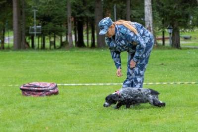Псковский кинолог и ее собака Джесси стали призерами Всероссийских межведомственных соревнований