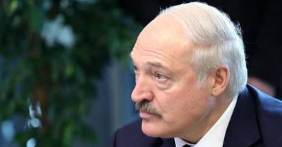 Россиянка получила 1,5 года колонии за твит о Лукашенко