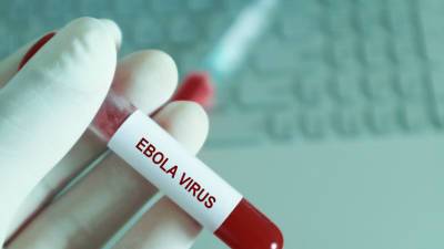 Вирус Эбола смог выжить в организме человека в течение 5 лет