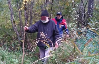 Спасатели продолжают выводить блуждающих в лесах ленинградцев