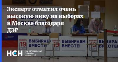 Эксперт отметил очень высокую явку на выборах в Москве благодаря ДЭГ
