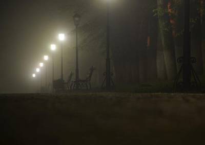 Рязанцев предупредили о ночном тумане