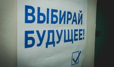 Безопасно проголосовать на выборах тюменцы могут из дома