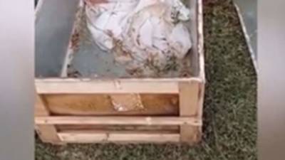 Цинковый гроб обнаружили в лесу на Ставрополье