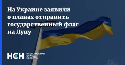 На Украине заявили о планах отправить государственный флаг на Луну
