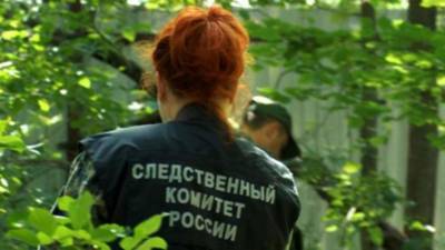 В Подмосковье задержаны подозреваемые в убийстве пенсионерки