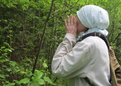 В лесу возле Вязьмы пропала 79-летняя женщина