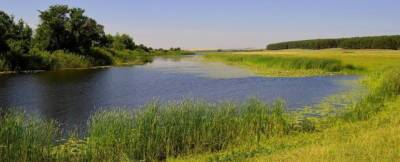 В Воронежской области в 2021 году расчистят шесть малых рек