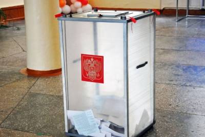 В Тверской области не будет проходить электронное голосование