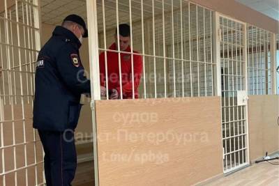 Гонявшего пьяным по центру Петербурга блогера арестовали