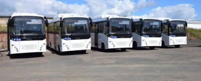 Правительство региона закупит 150 автобусов для Новосибирска в преддверии чемпионатов