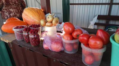 "Смотри, какие помидоры: один съешь - уже сытый!": кто, что и по какой цене продает на мини-рынке у трассы Минск-Гомель