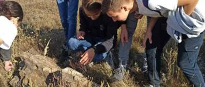 Школьники из Константиновки посетили природный памятник с окаменевшими деревьями в региональном парке Клебан-Бык
