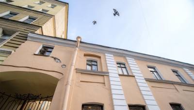 Смольный заработал на аренде и продаже недвижимости более 30 млн рублей