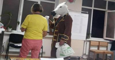 В Ялте на выборы пришел "конь в пальто"