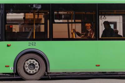 Как добиться подачи низкопольного автобуса, рассказали маломобильным жителям Пскова