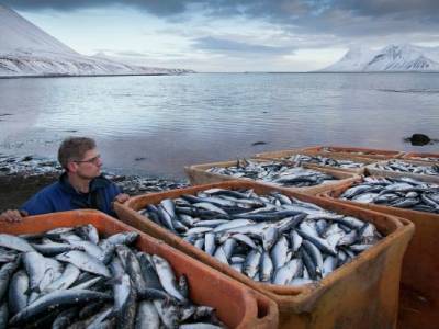 Литву обеспокоил рыбный промысел России в Балтийском море