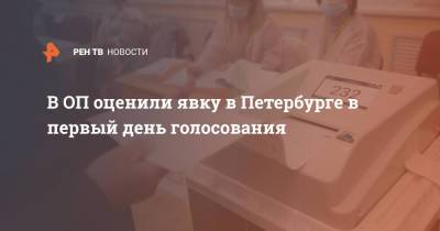 В ОП оценили явку в Петербурге в первый день голосования