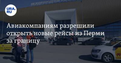 Авиакомпаниям разрешили открыть новые рейсы из Перми за границу
