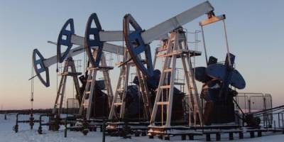 Рентабельных запасов нефти в России хватит еще на 21 год
