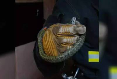 В Петербурге спасатели вытащили запутавшуюся в проводах змею