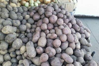 В Саратовской области снова выросла цена на картошку