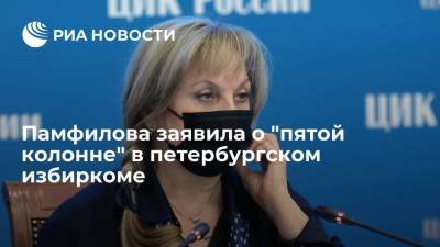 Председатель ЦИК Памфилова заявила о "пятой колонне" в петербургском избиркоме