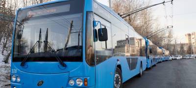 Власти Петрозаводска получили деньги на покупку новых троллейбусов
