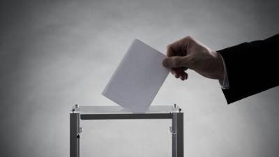 Иностранные эксперты дали высокую оценку ходу голосования в Госдуму