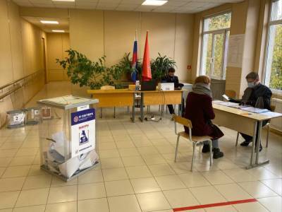 В Петербурге явка на выборах в Госдуму к 15 часам составила больше 7%