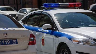 Полиция задержала подозреваемого в нападении на курьера в Невском районе