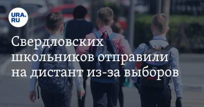 Свердловских школьников отправили на дистант из-за выборов. Заявление губернатора