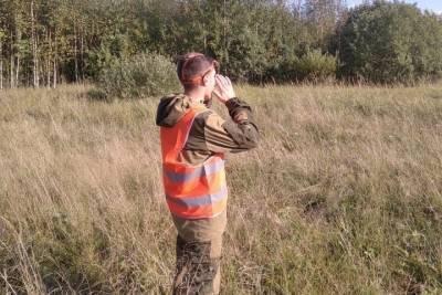 Новгородские спасатели прочесывают лес в поисках пропавшего