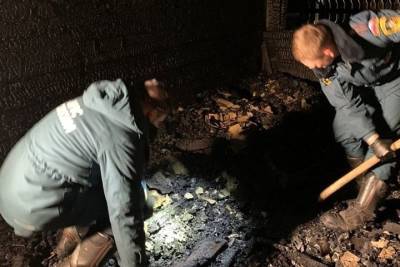 Двое маленьких детей погибли на пожаре в Иркутской области