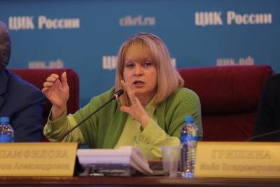 Памфилова анонсировала уголовные дела из-за нарушений на выборах