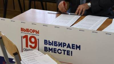 Памфилова назвала явку на выборах в Госдуму