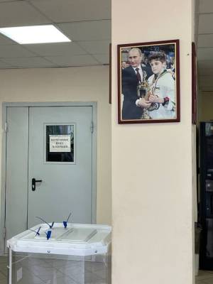 В Челябинской области наблюдатель нашел на участке портрет Путина, который тут же сняли