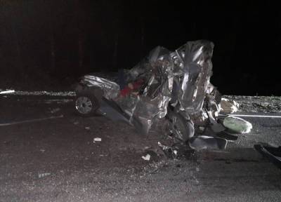 Пять человек погибли на трассе под Воронежем из-за пьяного водителя грузовика