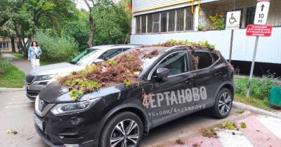 Фото «мести» московскому водителю из-за парковки разозлило россиян
