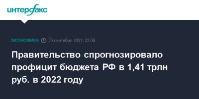 Правительство спрогнозировало профицит бюджета РФ в 1,41 трлн руб. в 2022 году